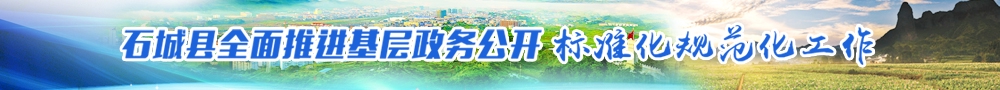 石城縣人民政府欄目基層公開標準化規范化專題